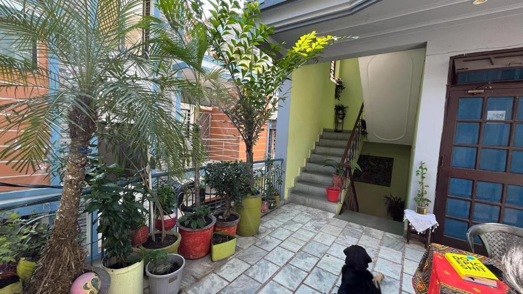Gungun Homestay Rishīkesh Dış mekan fotoğraf