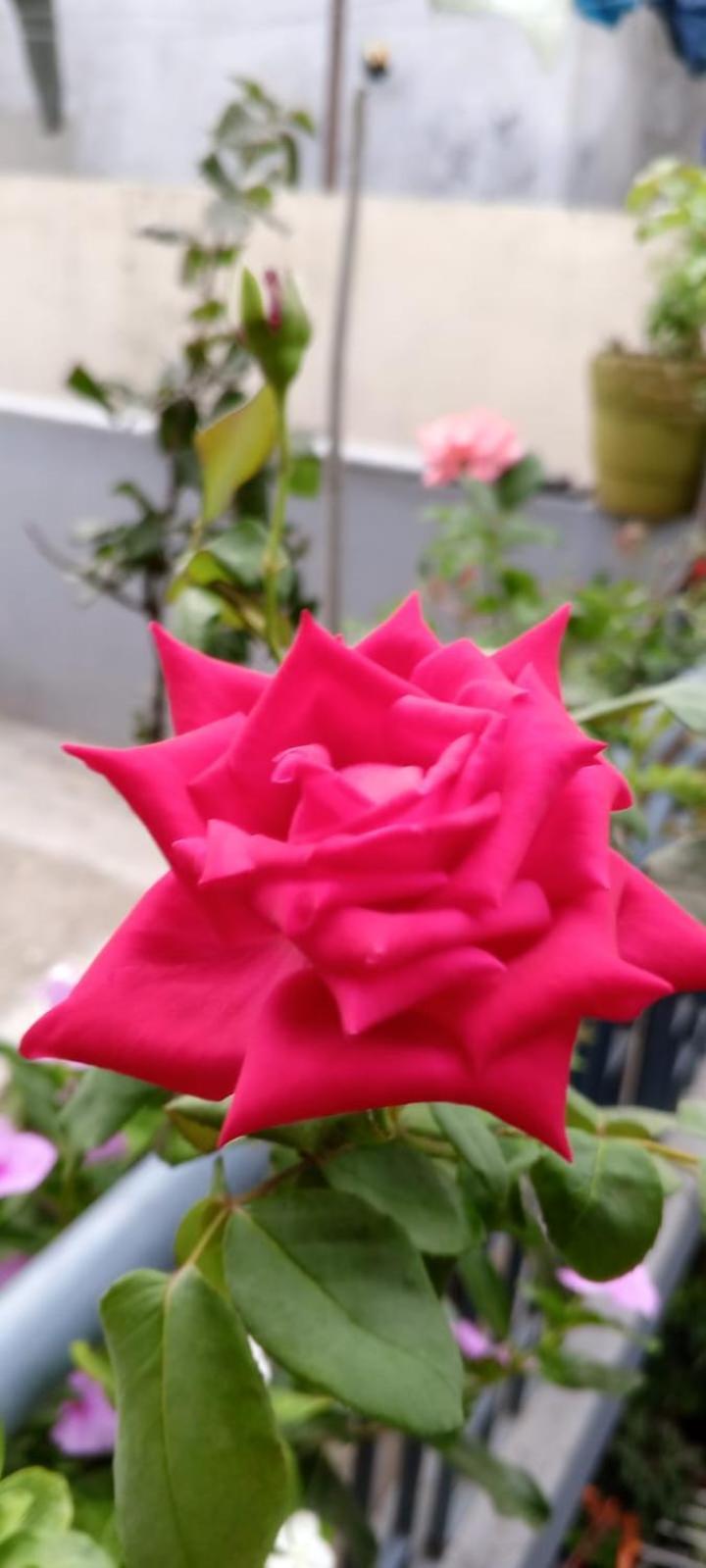 Gungun Homestay Rishīkesh Dış mekan fotoğraf